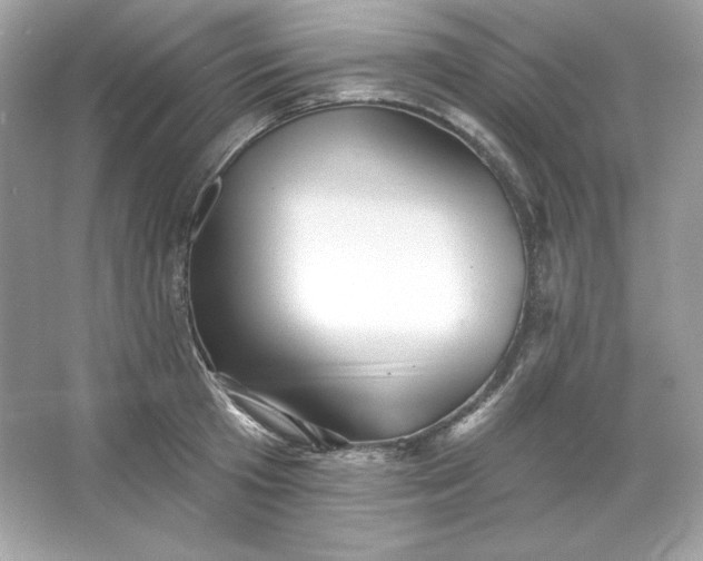 X0000066010801200603171504