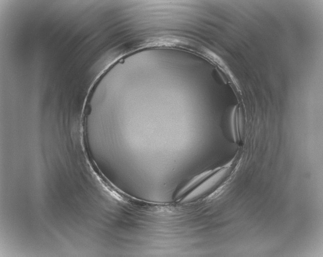 X0000066010802200603171504