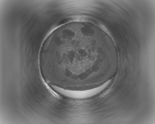 X0000066010803200603171504