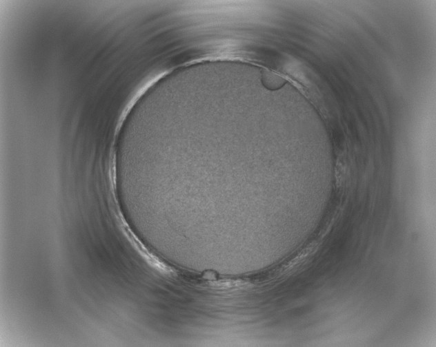 X0000066010804200603171504