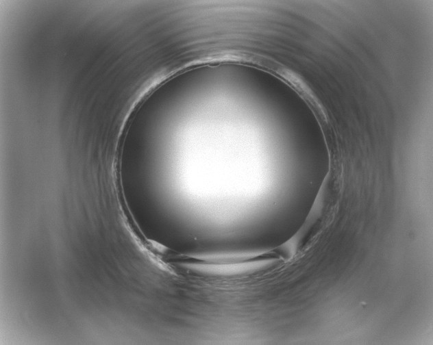 X0000066010805200603171504