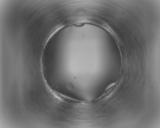 X0000066010806200603171504