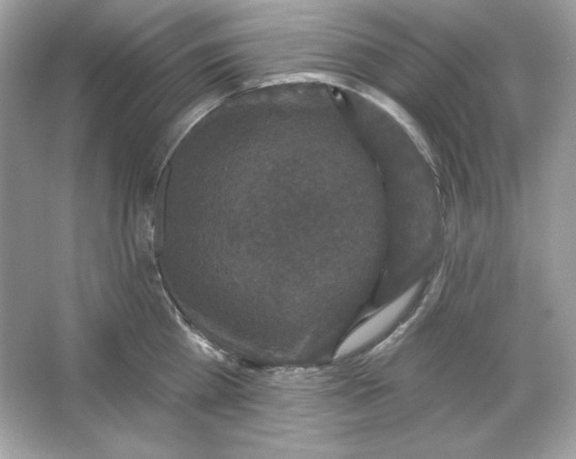 X0000066010809200603171504