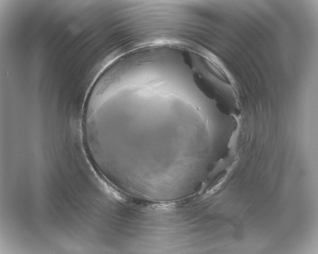 X0000066010810200603171504