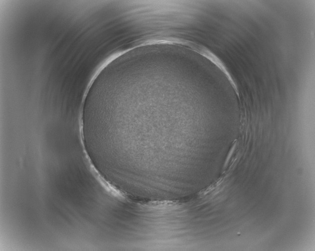 X0000066010811200603171504