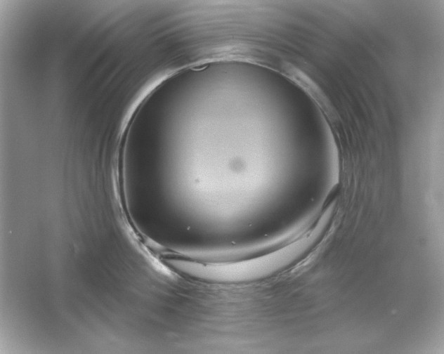 X0000066010812200603171504