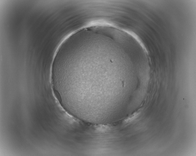 X0000066010815200603171504