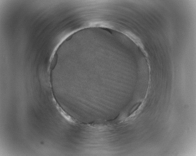 X0000066010816200603171504