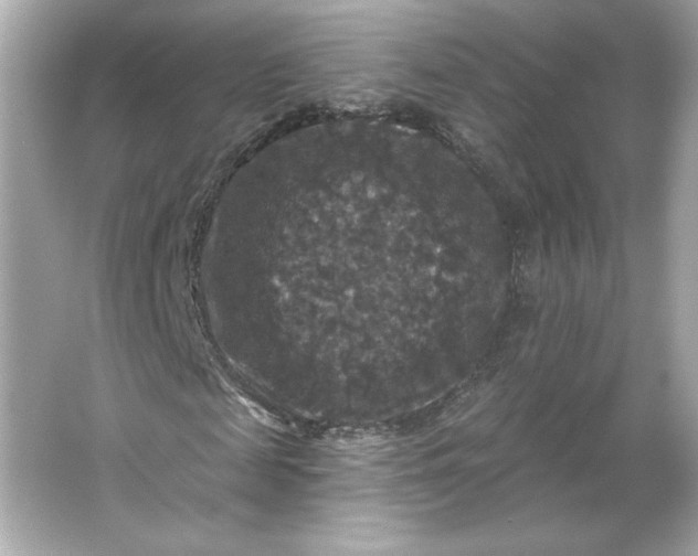 X0000066010817200603171503