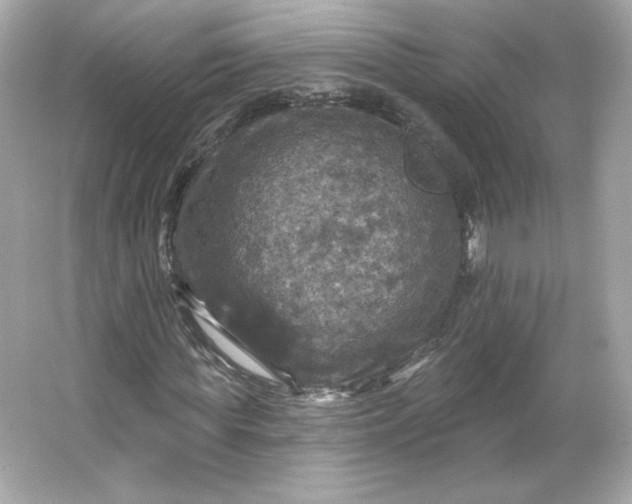 X0000066010819200603171503