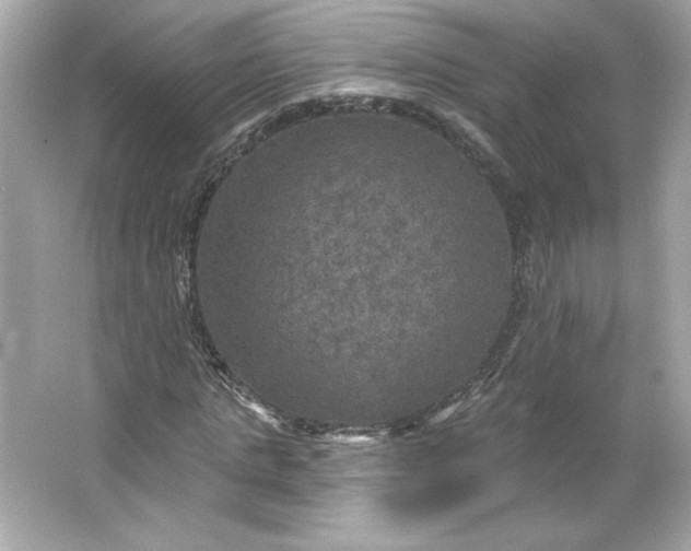 X0000066010821200603171503