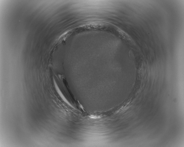 X0000066010822200603171503