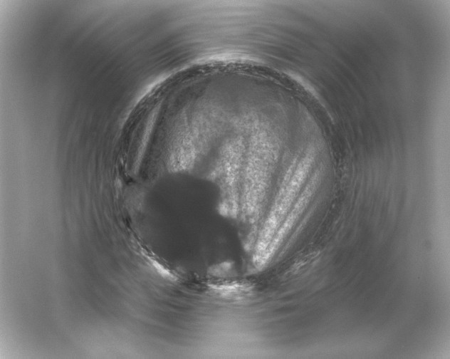 X0000066010823200603171503