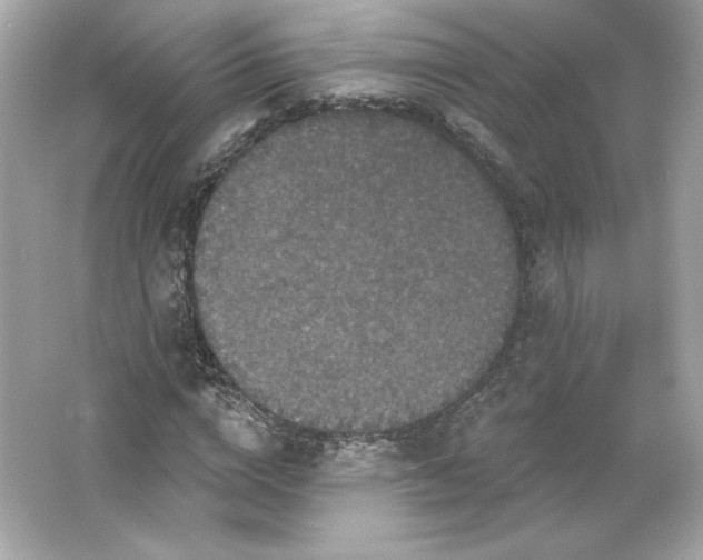 X0000066010824200603171503