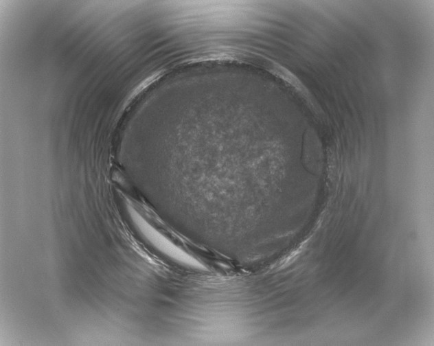 X0000066010826200603171503