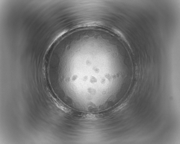 X0000066010827200603171503