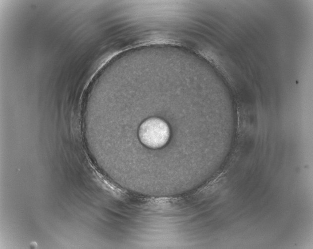 X0000066010828200603171503