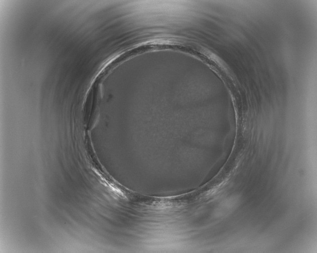 X0000066010829200603171503