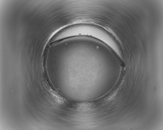 X0000066010830200603171503