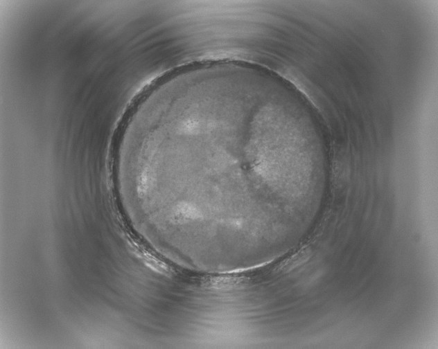 X0000066010832200603171503