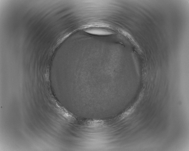 X0000066010833200603171503