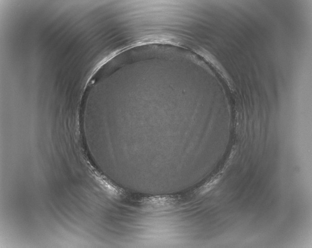 X0000066010834200603171503