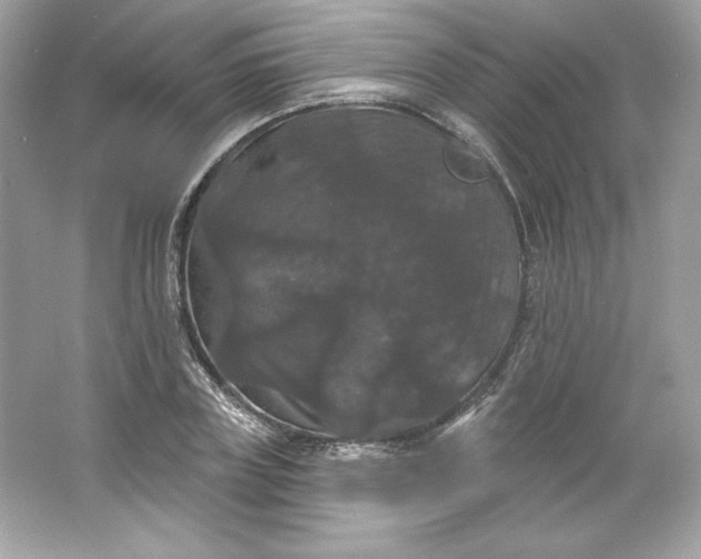 X0000066010835200603171504