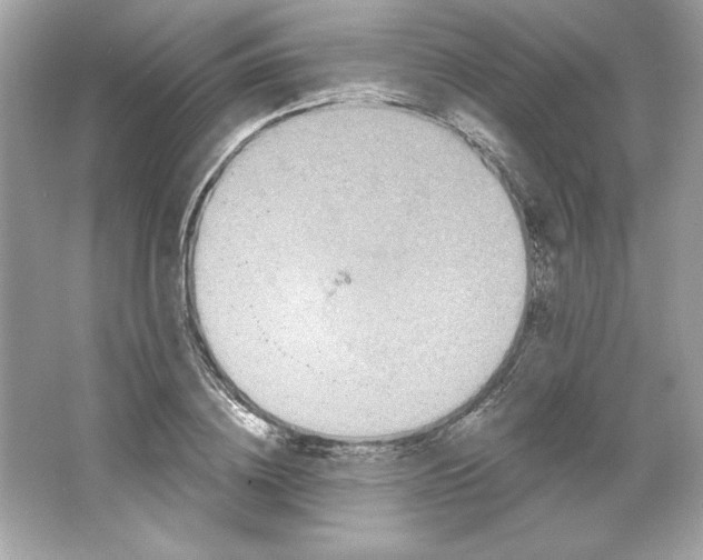 X0000066010836200603171504