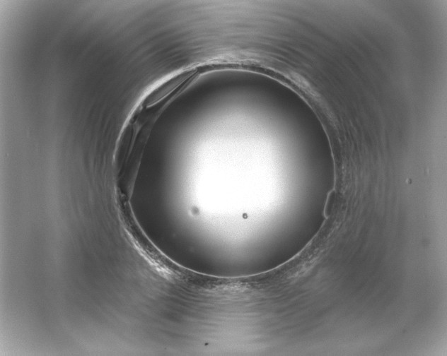 X0000066010838200603171504