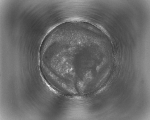 X0000066010839200603171504