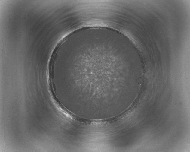 X0000066010840200603171504