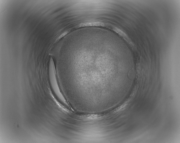 X0000066010841200603171504