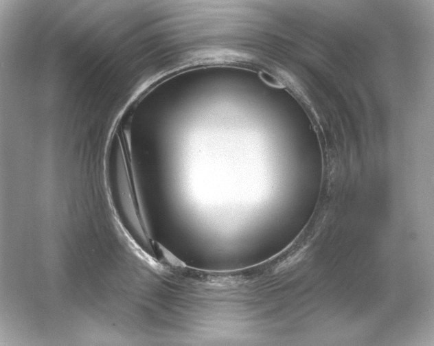 X0000066010843200603171504