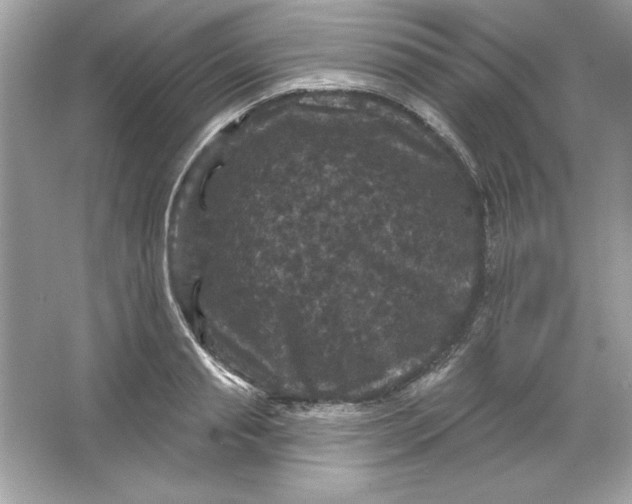 X0000066010845200603171504