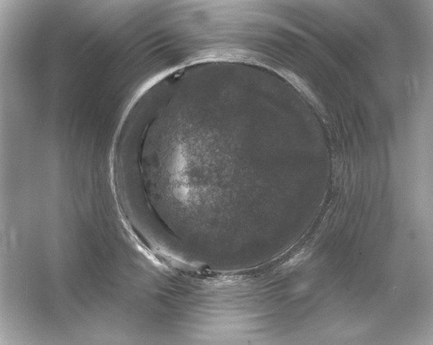 X0000066010846200603171504