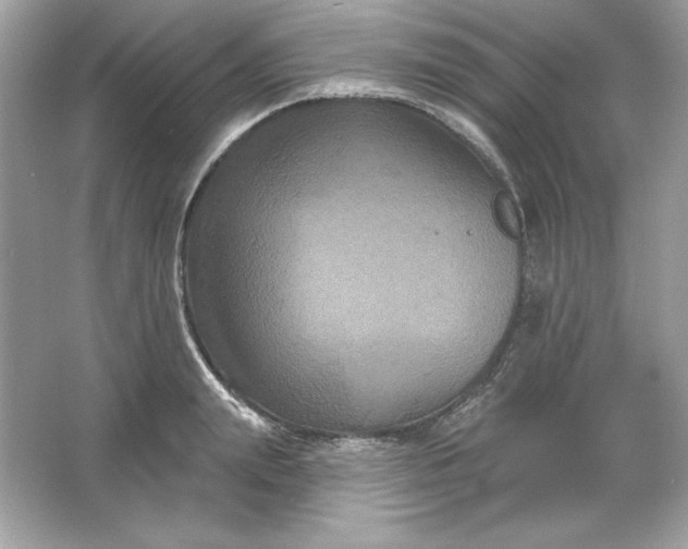 X0000066010847200603171504