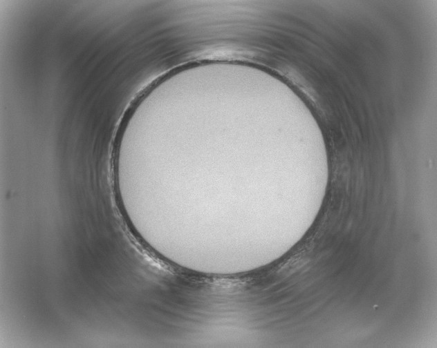 X0000066010848200603171504