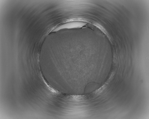 X0000066010849200603171504