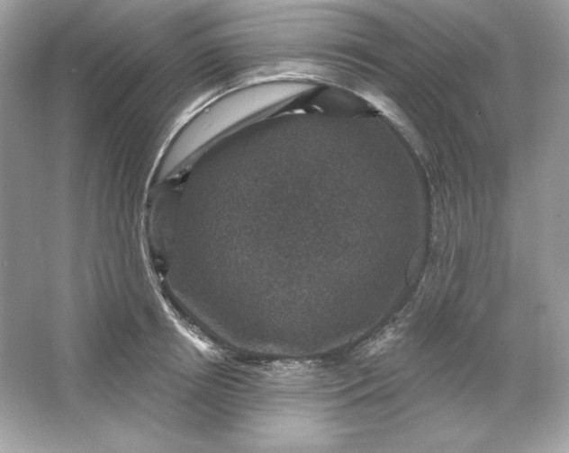 X0000066010850200603171504