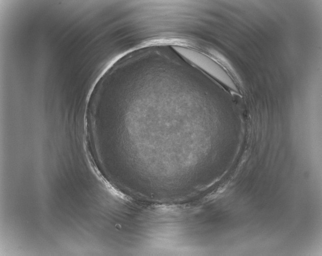 X0000066010852200603171504