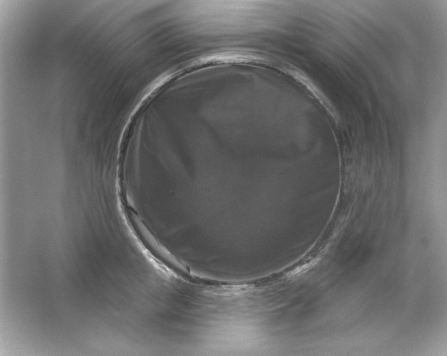 X0000066010853200603171504