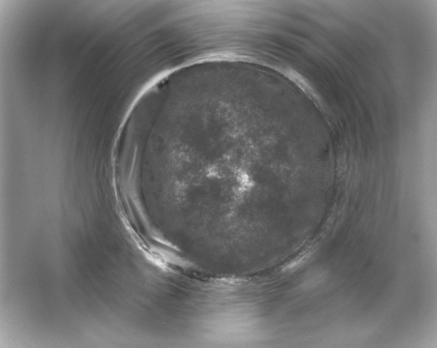 X0000066010854200603171504