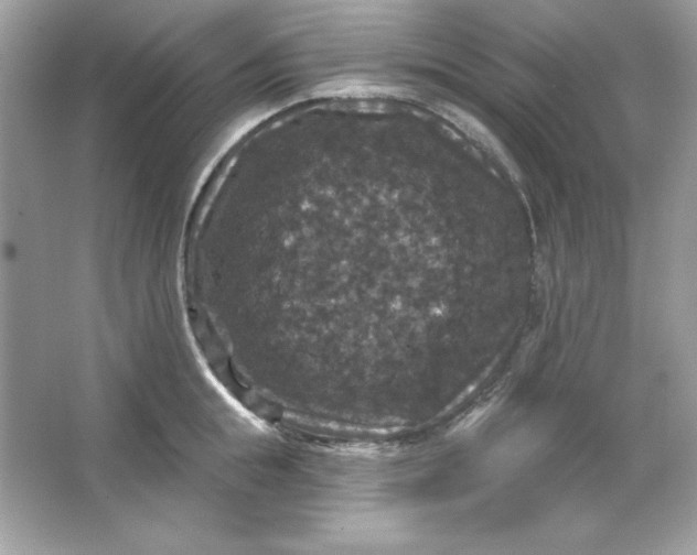 X0000066010855200603171504