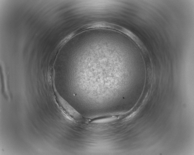 X0000066010857200603171504