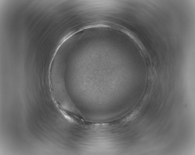 X0000066010858200603171504