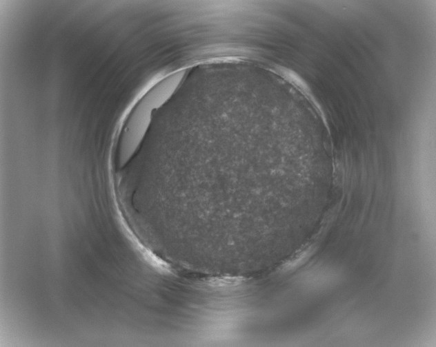 X0000066010859200603171504