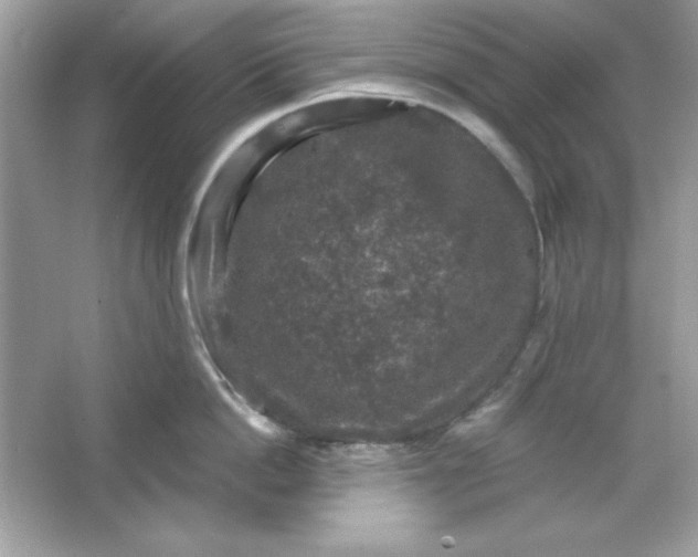 X0000066010862200603171504