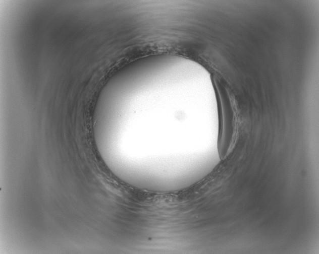 X0000066010865200603171503