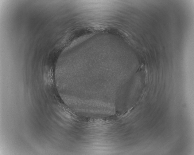 X0000066010866200603171503