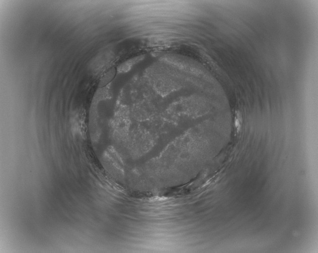 X0000066010867200603171503